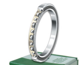 INA CSEAA015-TV bearings